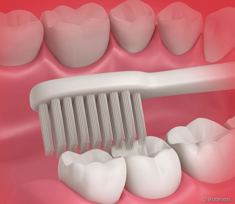 O dente siso chegou e agora você tem mais um (ou quatro) dente para dar conta na hora da limpeza. Às vezes é mais chatinho de alcançar esse espaço, mas nada impossível. Confira algumas dicas para esse momento