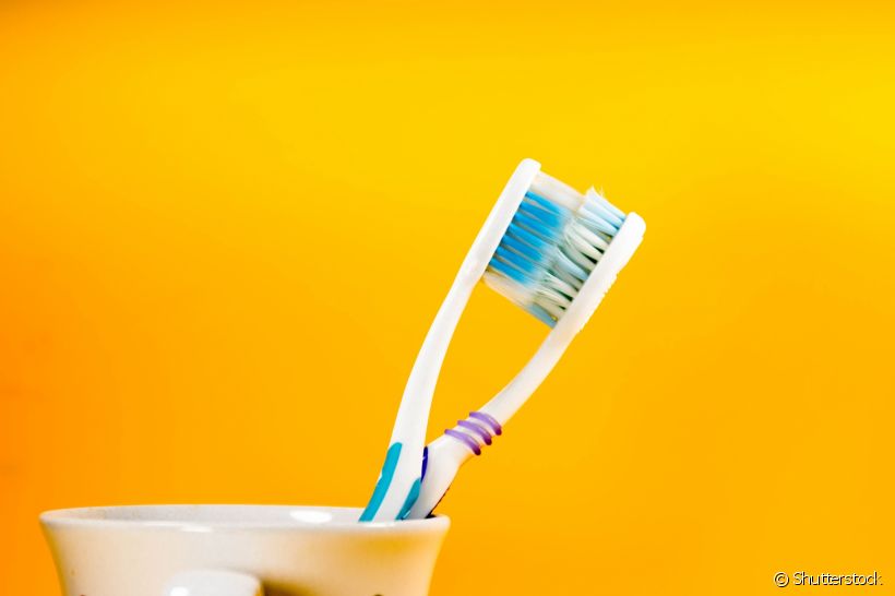 Guardar duas escovas de dente no mesmo lugar pode acabar como essa seguinte cena: as cerdas se tocam e muitas bactérias são trocadas, prejudicando a saúde bucal de quem usa