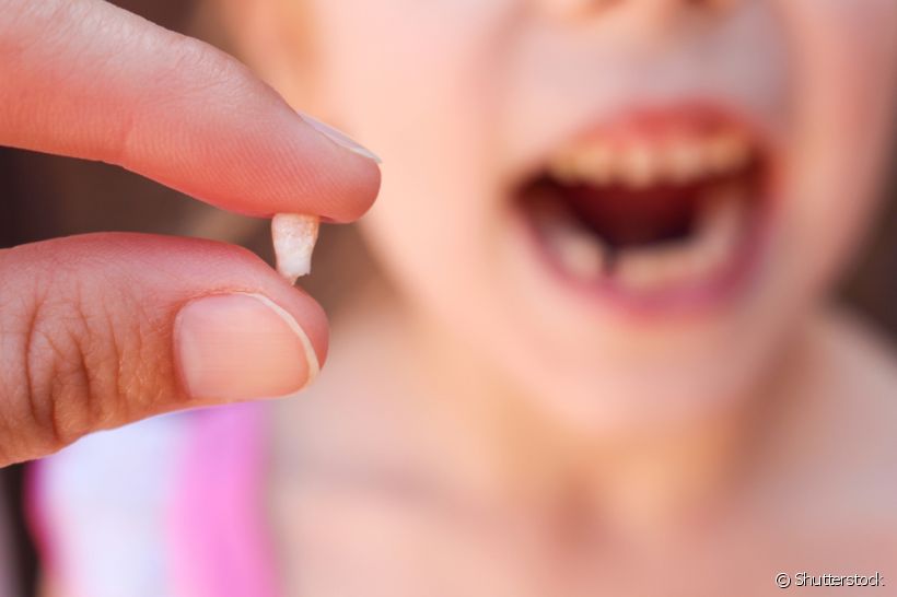 O que você mais esperava aconteceu: o primeiro dente de leite do seu filho caiu. E agora, é necessário levá-lo à consulta com o especialista? Descubra com o Sorrisologia