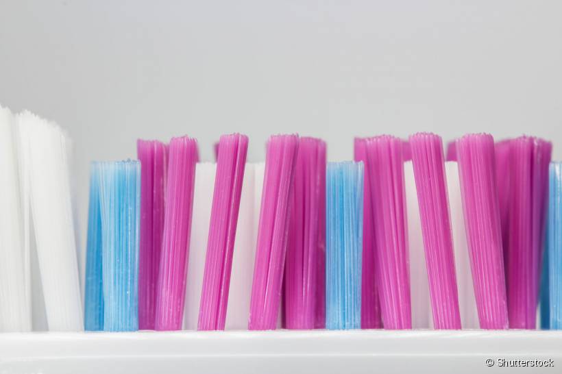 Você conhece o tipo das cerdas da sua escova de dentes? O Sorrisologia te mostra todas elas e suas respectivas funções