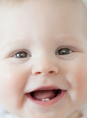 Camomila alivia dor de dente de bebê nascendo?